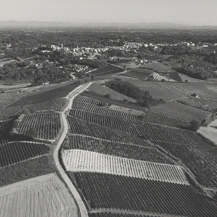 Domaine des Ouleb Thaleb - S de Siroua Chardonnay - [winest]