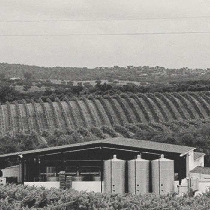 Herdade de São Miguel - Colheita Seleccionada Tinto - [winest]