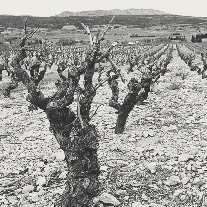 Les Maitres Vignerons - Caprice Rosé - [winest]