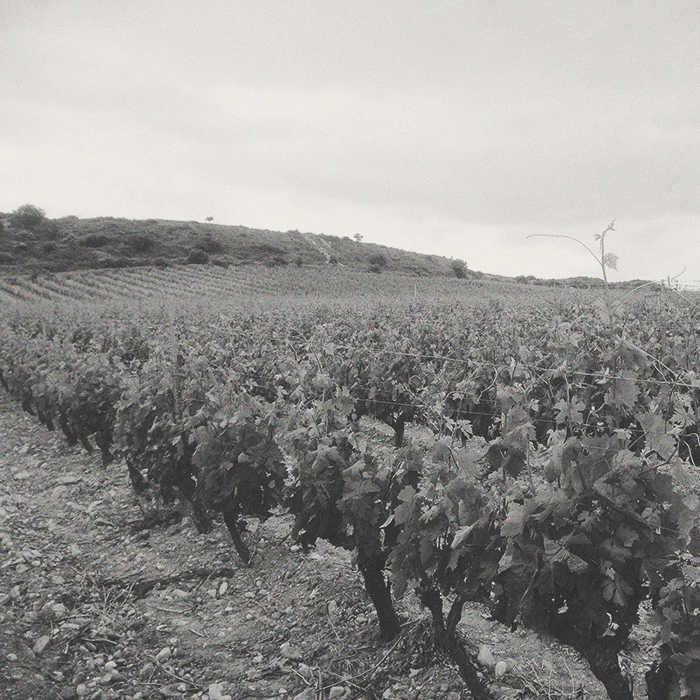 Castillo de Maetierra - Atlantis Albariño - [winest]