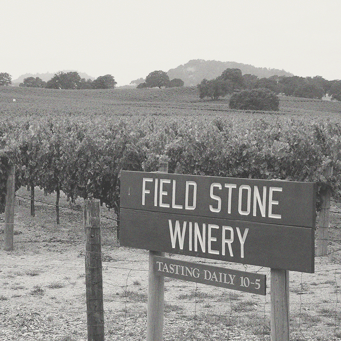 Stone Valley - Zinfandel - [winest]