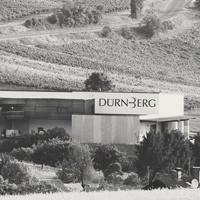 Dürnberg - Falkenstein Weißburgunder Reserve - [winest]