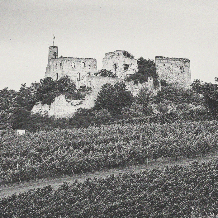 Dürnberg - Tradition Grüner Veltliner - [winest]