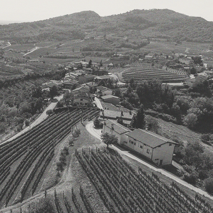 Marjan Simčič - Sauvignon Vert - [winest]