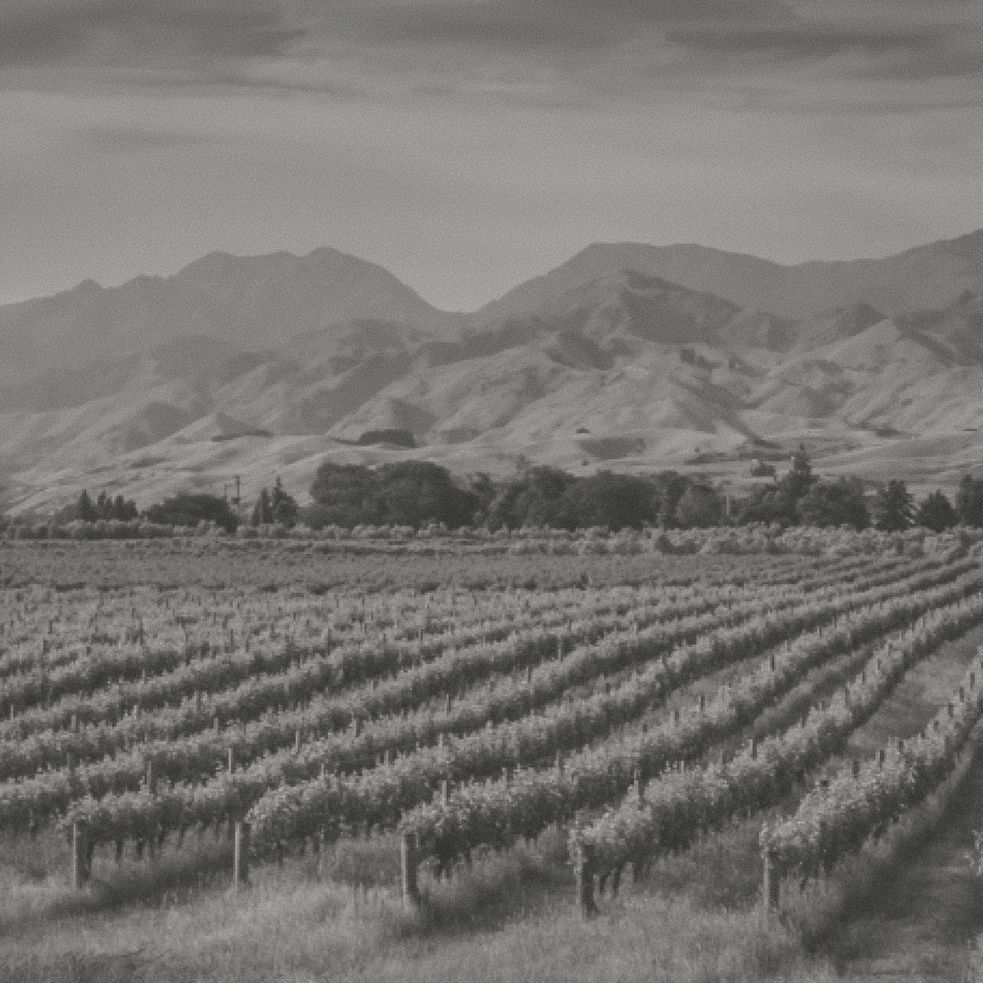 Green Life - Carmenere